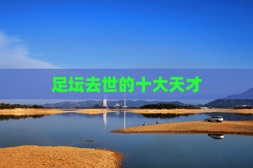 足坛去世的十大天才