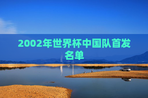 2002年世界杯中国队首发名单 2002年世界杯中国队首发名单