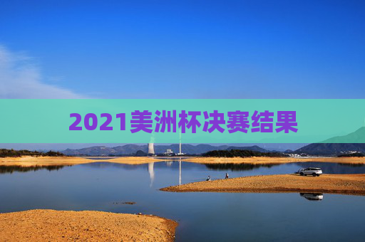 2021美洲杯决赛结果