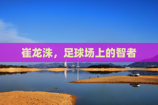 崔龙洙，足球场上的智者