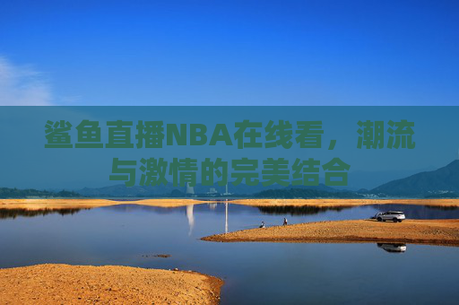 鲨鱼直播NBA在线看，潮流与激情的完美结合