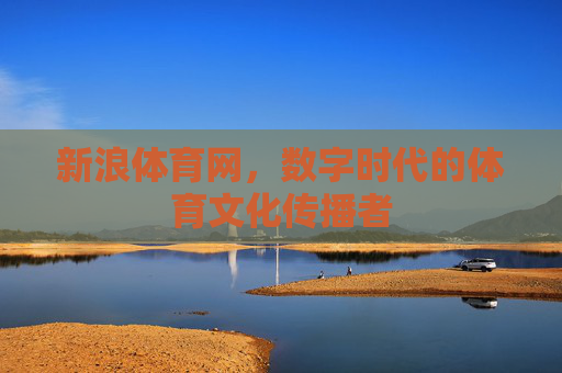 新浪体育网，数字时代的体育文化传播者