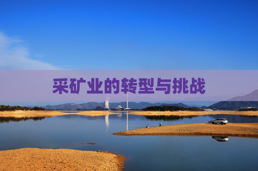 采矿业的转型与挑战 采矿业的转型与挑战