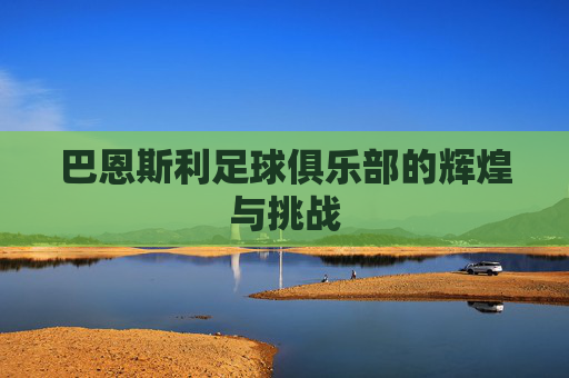 巴恩斯利足球俱乐部的辉煌与挑战