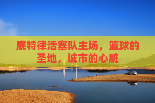 底特律活塞队主场，篮球的圣地，城市的心脏