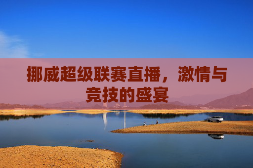 挪威超级联赛直播，激情与竞技的盛宴