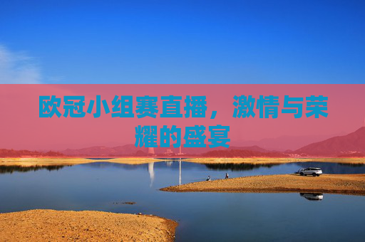 欧冠小组赛直播，激情与荣耀的盛宴