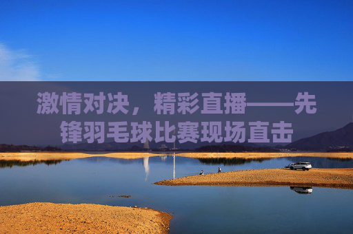 激情对决，精彩直播——先锋羽毛球比赛现场直击