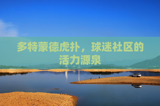 多特蒙德虎扑，球迷社区的活力源泉