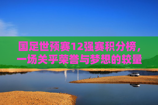 国足世预赛12强赛积分榜，一场关乎荣誉与梦想的较量