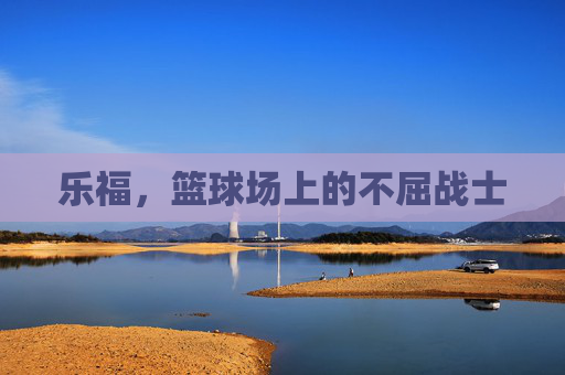 乐福,篮球场上的不屈战士 乐福,篮球场上的不屈战士