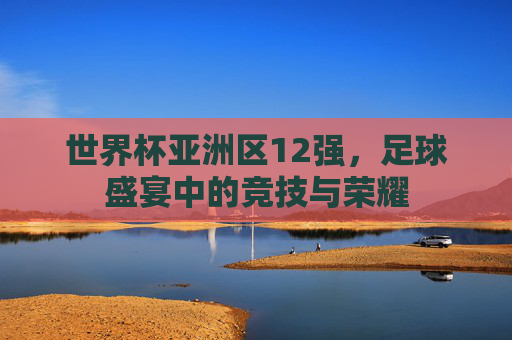 世界杯亚洲区12强，足球盛宴中的竞技与荣耀