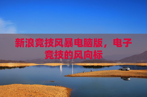 新浪竞技风暴电脑版，电子竞技的风向标