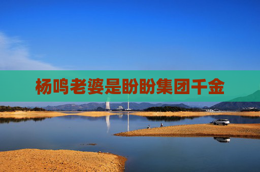杨鸣老婆是盼盼集团千金