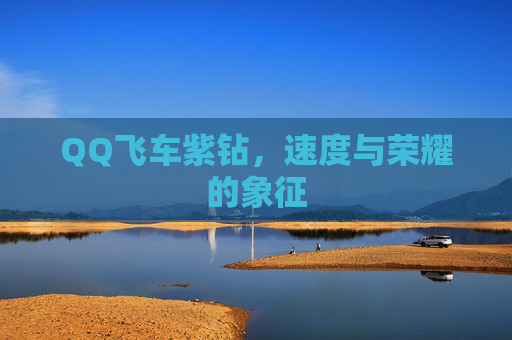 QQ飞车紫钻,速度与荣耀的象征 QQ飞车紫钻,速度与荣耀的象征