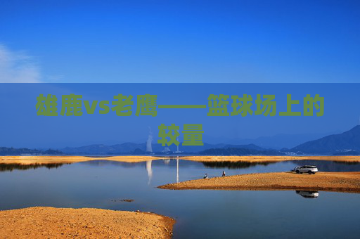 雄鹿vs老鹰——篮球场上的较量