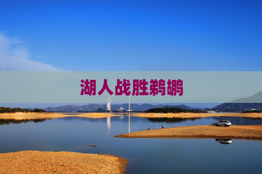 湖人战胜鹈鹕