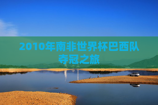 2010年南非世界杯巴西队夺冠之旅