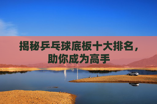 揭秘乒乓球底板十大排名，助你成为高手