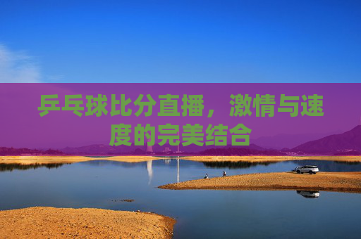 乒乓球比分直播，激情与速度的完美结合