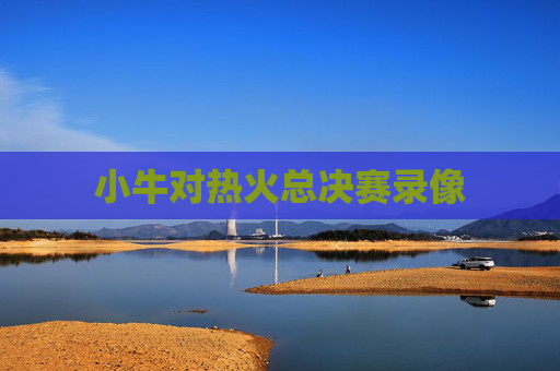 小牛对热火总决赛录像