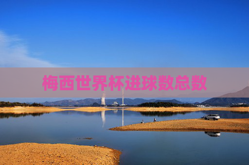 梅西世界杯进球数总数