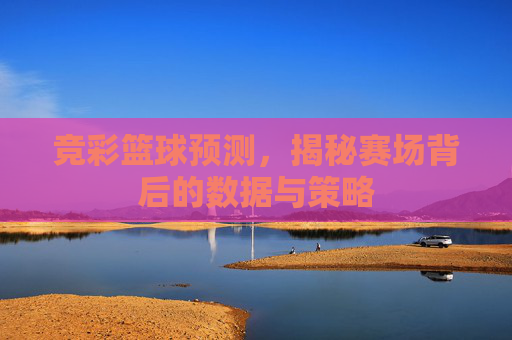 竞彩篮球预测，揭秘赛场背后的数据与策略