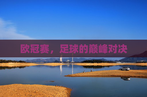 欧冠赛，足球的巅峰对决