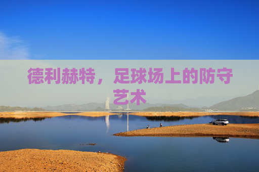 德利赫特，足球场上的防守艺术
