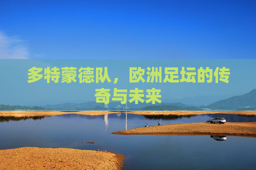 多特蒙德队，欧洲足坛的传奇与未来