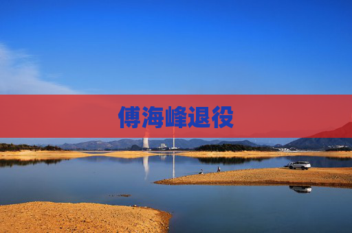 傅海峰退役