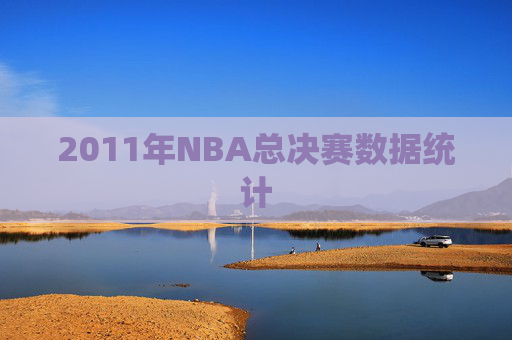 2011年NBA总决赛数据统计