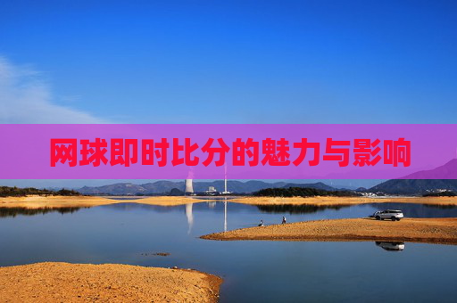 网球即时比分的魅力与影响