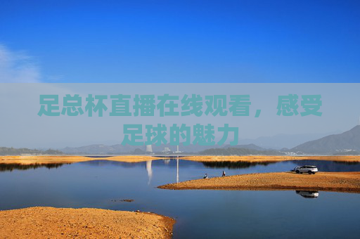 足总杯直播在线观看，感受足球的魅力
