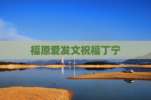 福原爱发文祝福丁宁