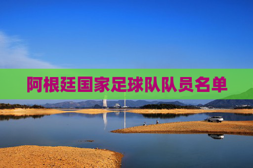 阿根廷国家足球队队员名单 阿根廷国家足球队队员名单