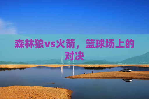 森林狼vs火箭，篮球场上的对决
