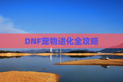 DNF宠物进化全攻略