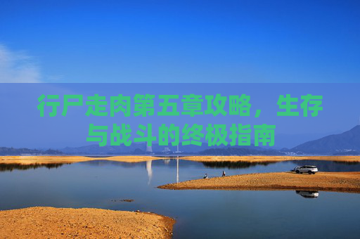 行尸走肉第五章攻略，生存与战斗的终极指南