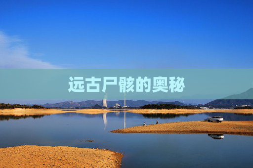 远古尸骸的奥秘