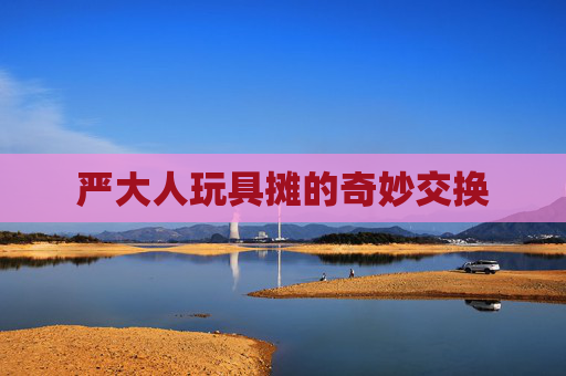 严大人玩具摊的奇妙交换