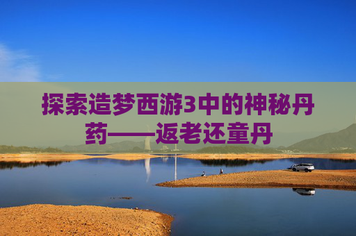 探索造梦西游3中的神秘丹药——返老还童丹