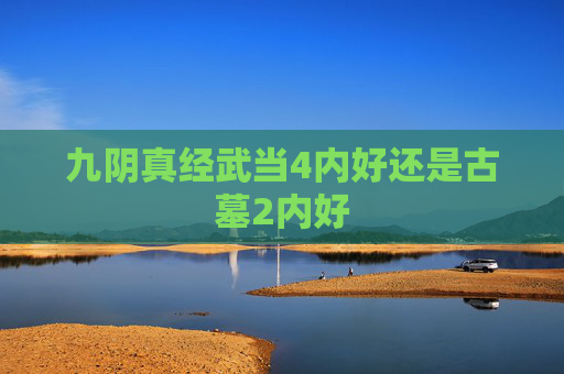 九阴真经武当4内好还是古墓2内好