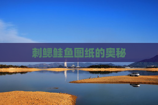 刺鳃鲑鱼图纸的奥秘