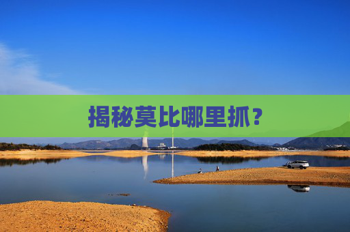 揭秘莫比哪里抓？