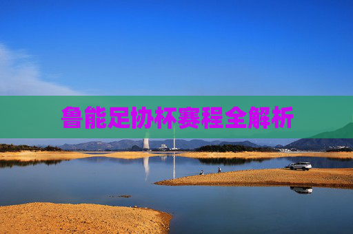 鲁能足协杯赛程全解析