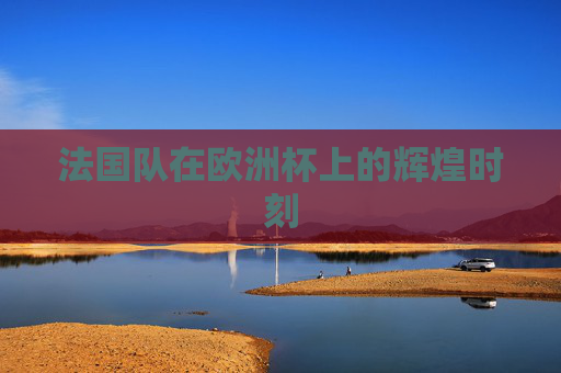 法国队在欧洲杯上的辉煌时刻