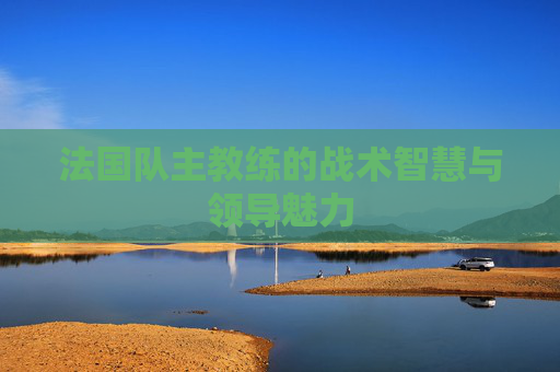 法国队主教练的战术智慧与领导魅力