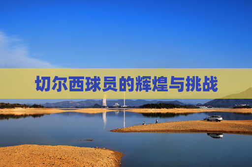 切尔西球员的辉煌与挑战