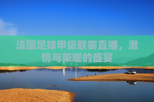 法国足球甲级联赛直播，激情与荣耀的盛宴